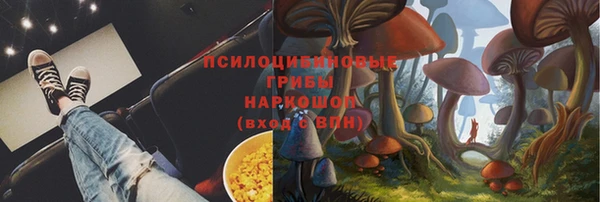 соль курить ск Алзамай